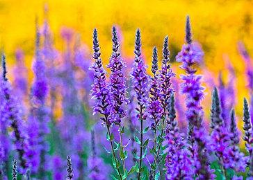 B站高能电玩节2022情报公开：免费试玩DEMO名单公布 参与活动瓜分10万！